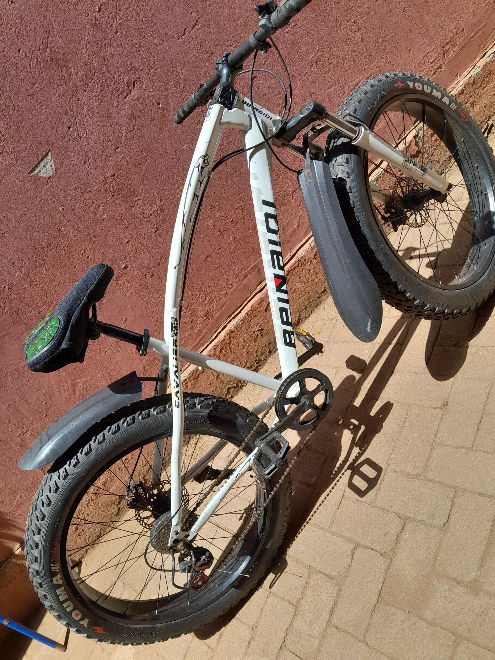 Fat tyre bike