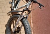 Fat tyre bike