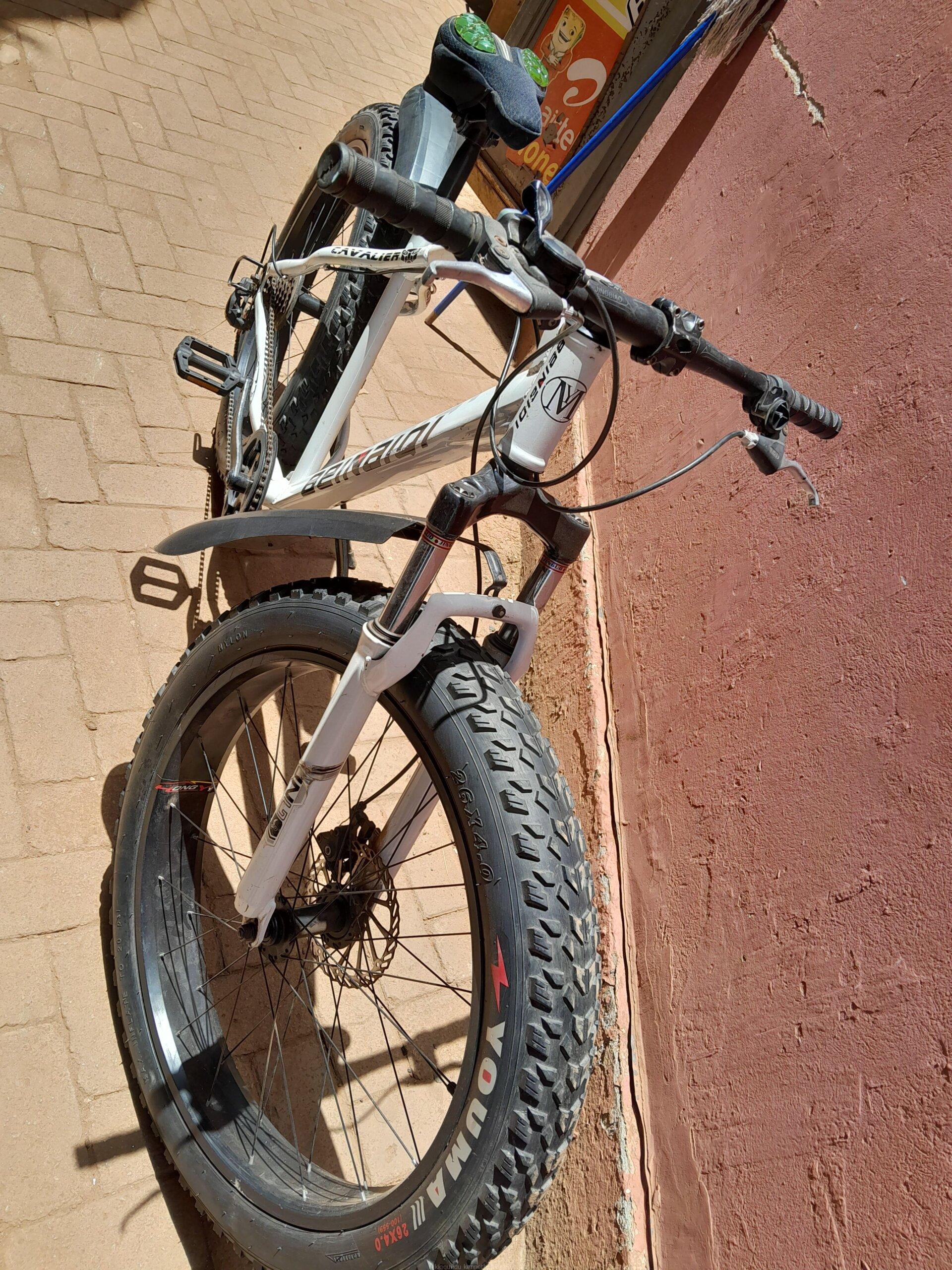 Fat tyre bike