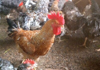 0908a3e9-57bb-4095-b62b-d4120f83d467