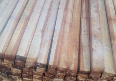 155cd459-13ec-46d4-be53-e44e46278de3