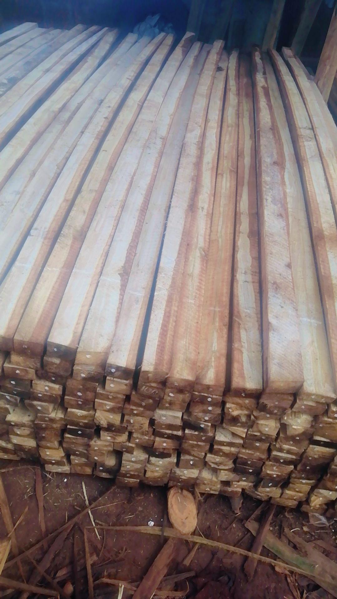 Timbers
