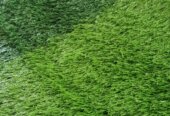 SPORTS FACILITY TURF
