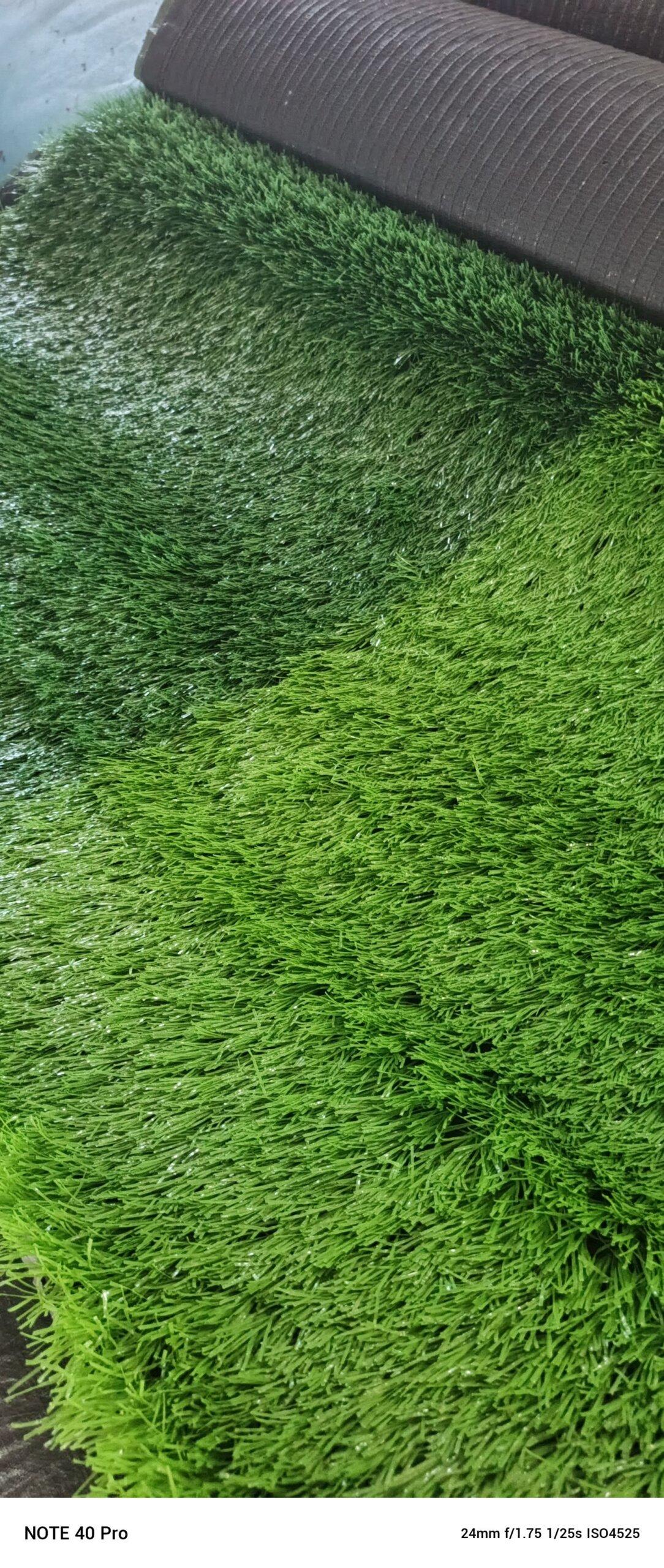 SPORTS FACILITY TURF