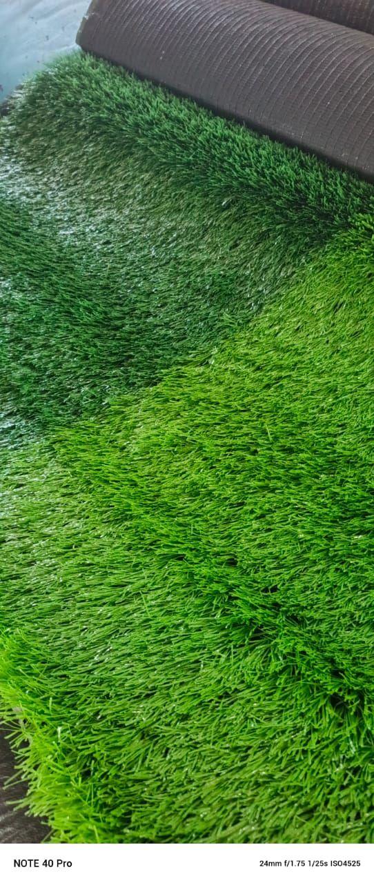 SPORTS FACILITY TURF