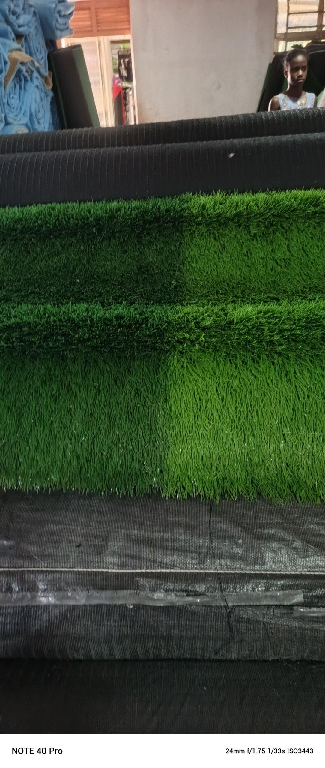 SPORTS FACILITY TURF