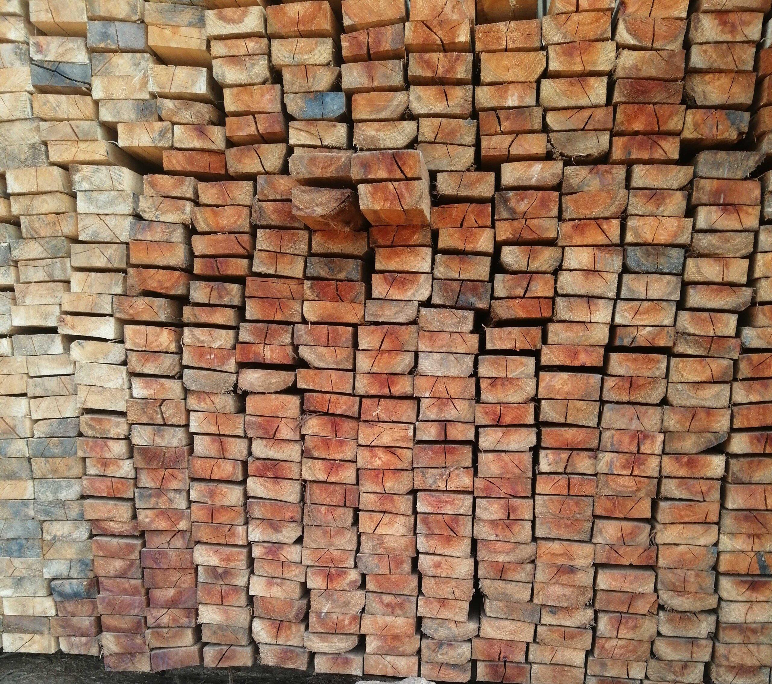 Timbers