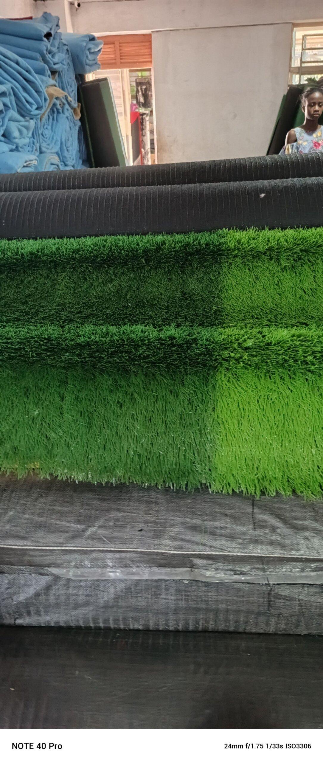 SPORTS FACILITY TURF