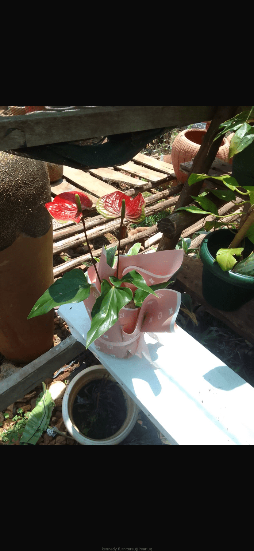 Flower vessels