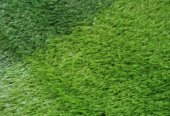 SPORTS FACILITY TURF