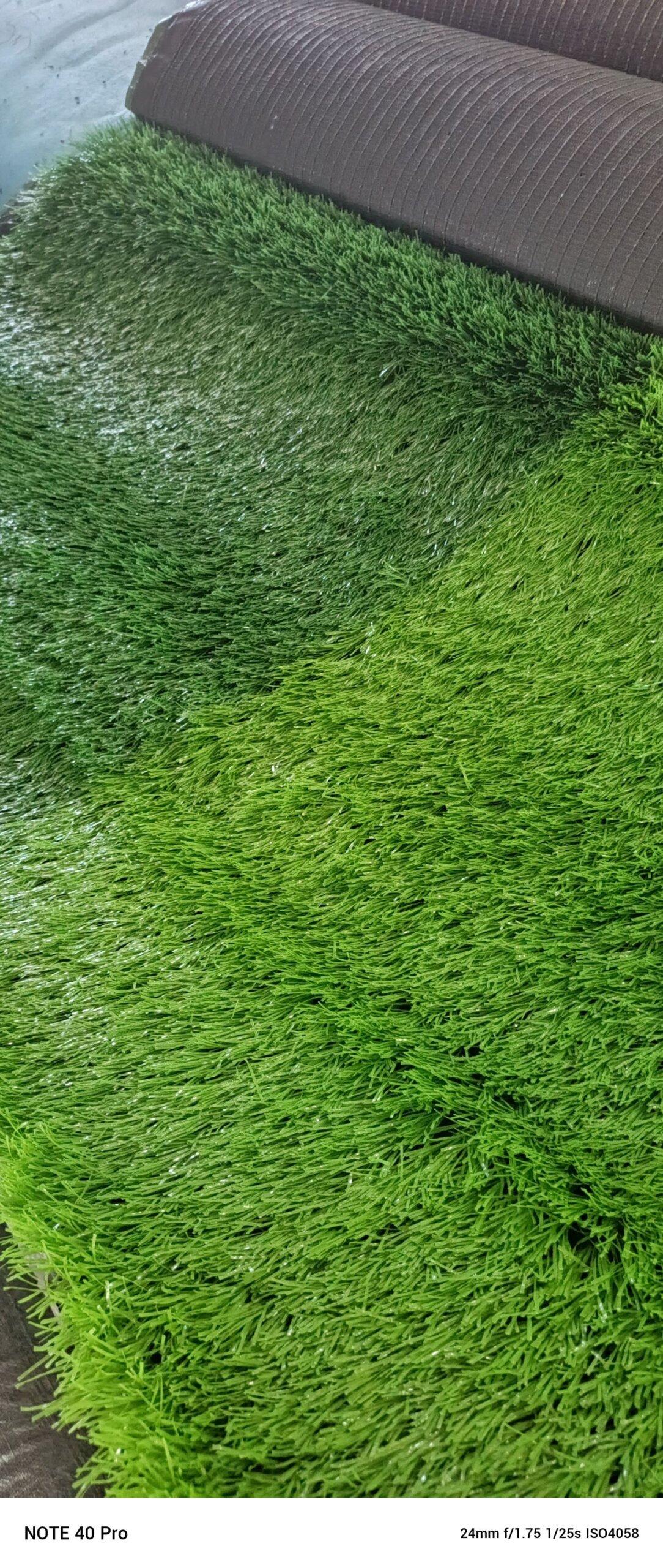 SPORTS FACILITY TURF