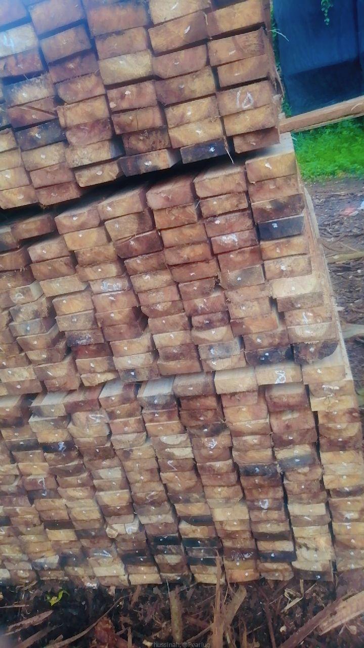 Timbers