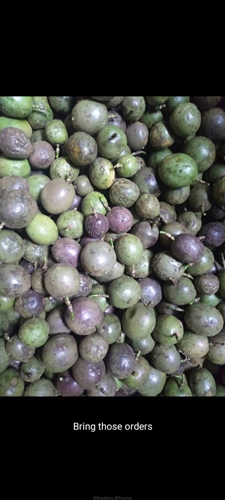 Passion fruits