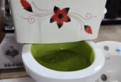Ordinary Toilets