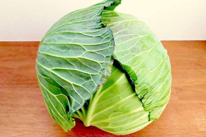 Cabbages