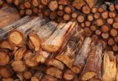 Timbers
