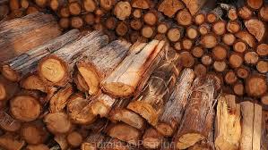 Timbers