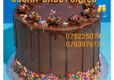 6bbac0d1-7b9a-418b-8680-c6d9c89a0e41
