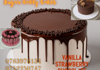 c6a9a01b-4681-42d7-89b1-19c5867b73f0