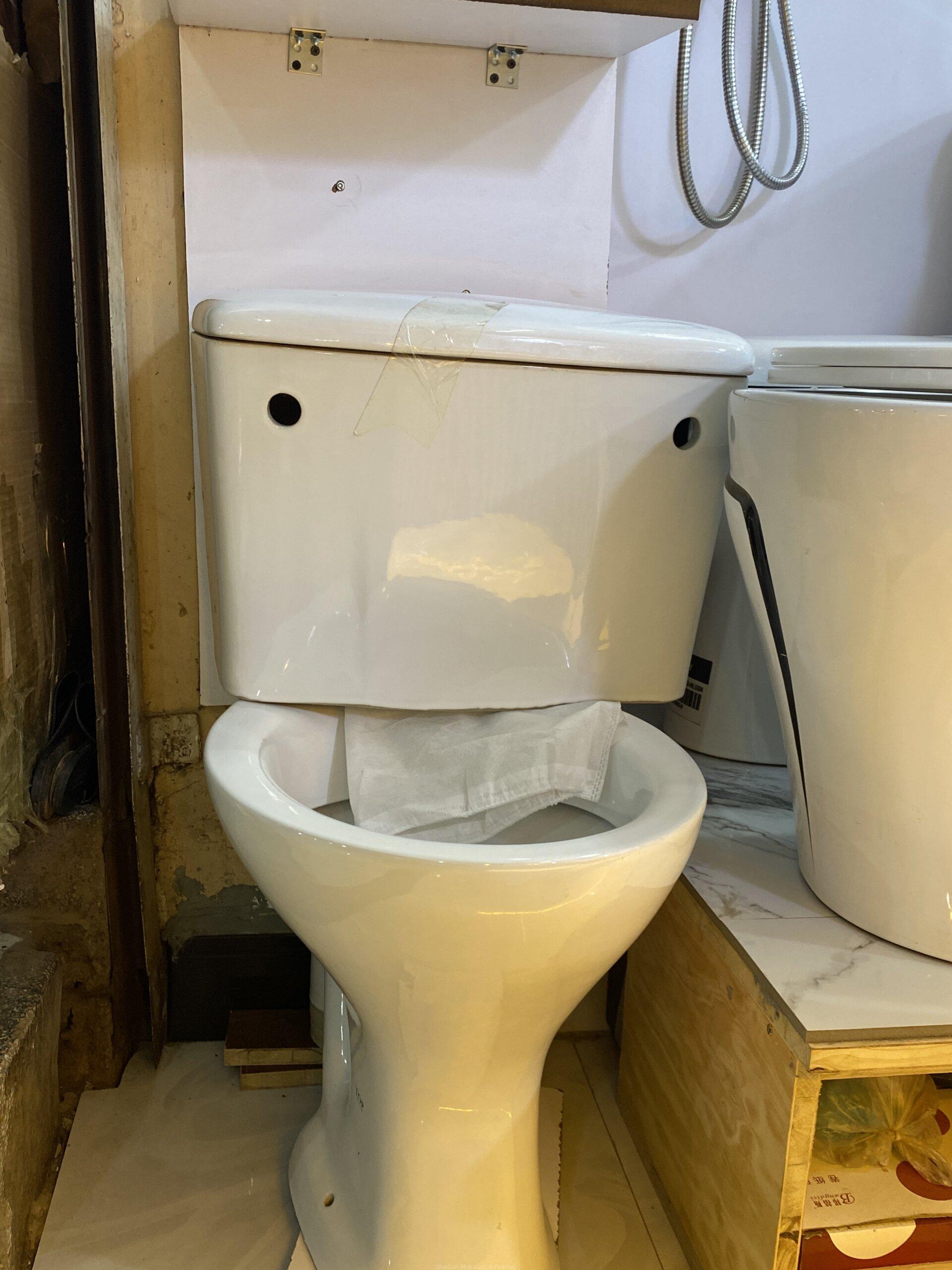 Toilet