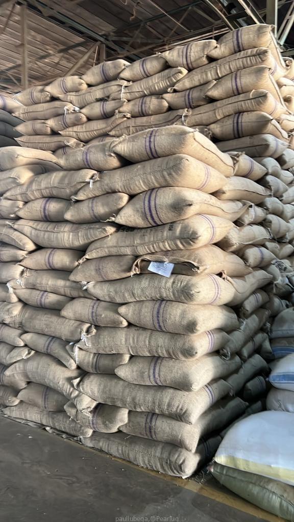 top-quality Ugandan robusta and Arabica coffee beans? Contact +27719755564.