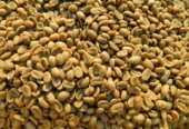 top-quality Ugandan robusta and Arabica coffee beans? Contact +27719755564.