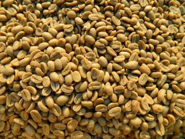 top-quality Ugandan robusta and Arabica coffee beans? Contact +27719755564.