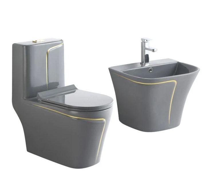 Ceramic toilet +hand wash basin.