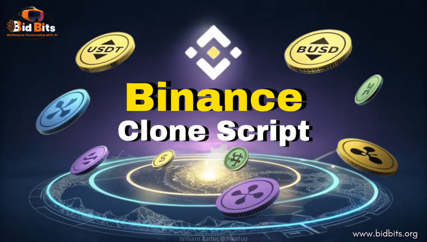 Best Binance clone Script Provider in USA
