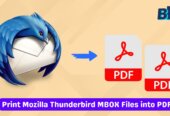 Thunderbird to PDF Conversion with BLR MBOX Converter