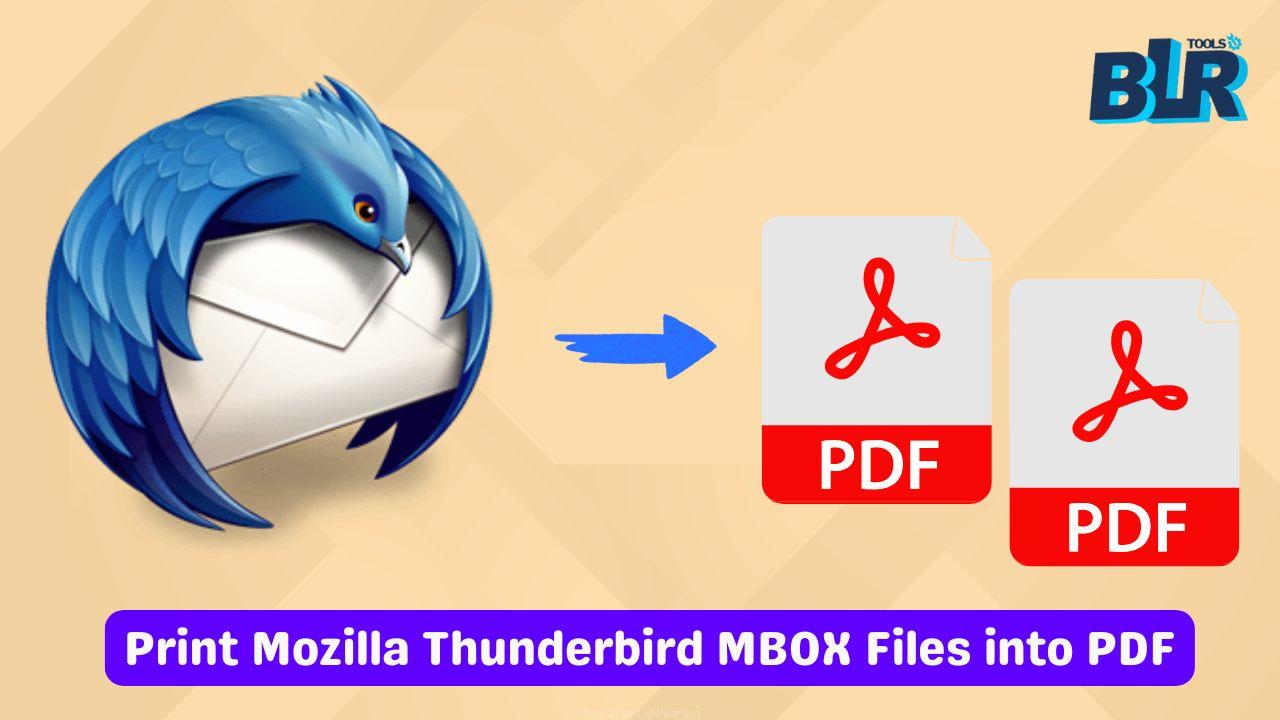 Thunderbird to PDF Conversion with BLR MBOX Converter