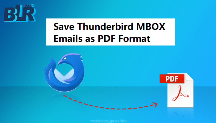 Thunderbird to PDF Conversion with BLR MBOX Converter