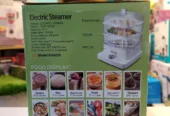 DSP Electric steamer