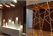 Best paint and luxury designs.