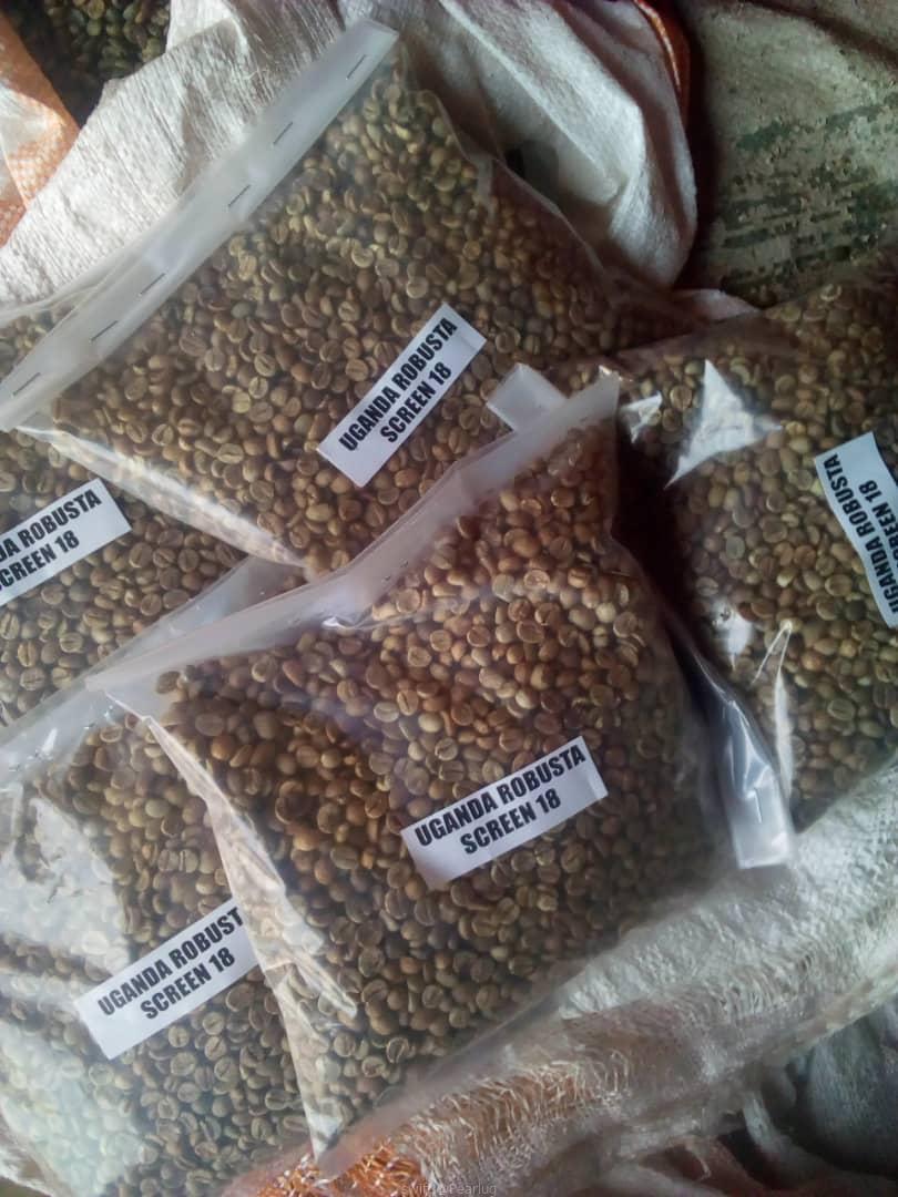 ARABICA AND ROBUSTA COFFEE BEANS , GREEN COFFEE BEANS