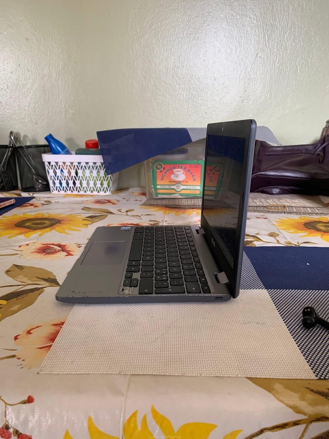 ASUS Chromebook C223N