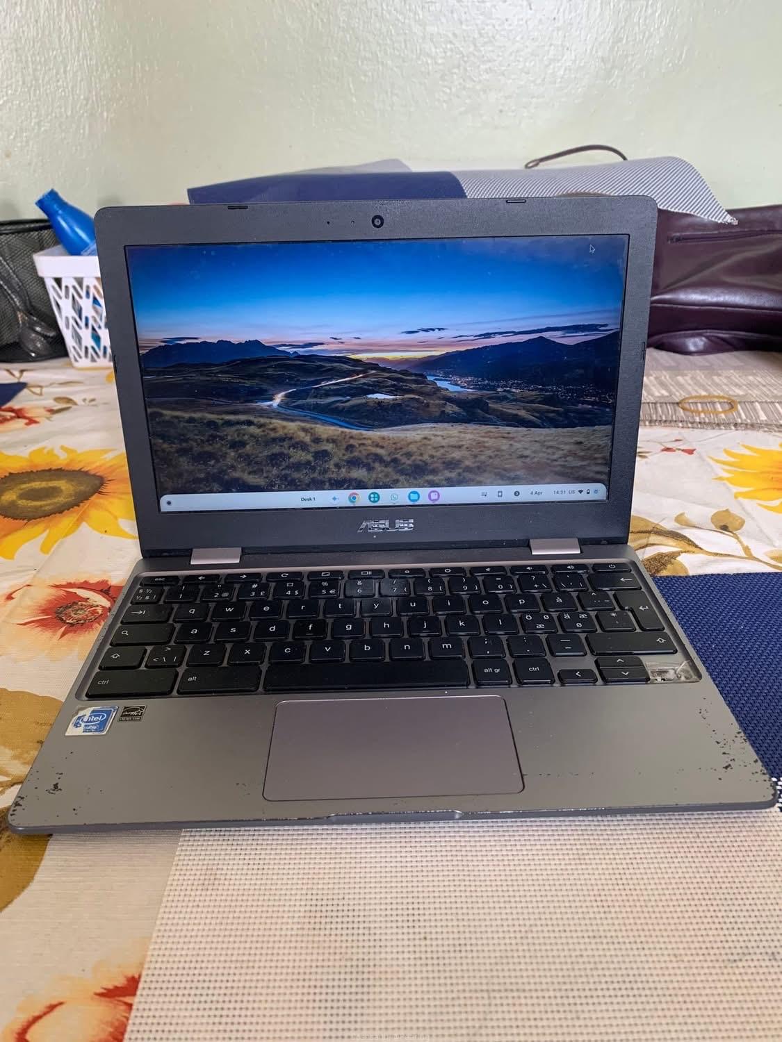 ASUS Chromebook C223N