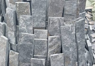 1000235288