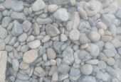 Coral Stones