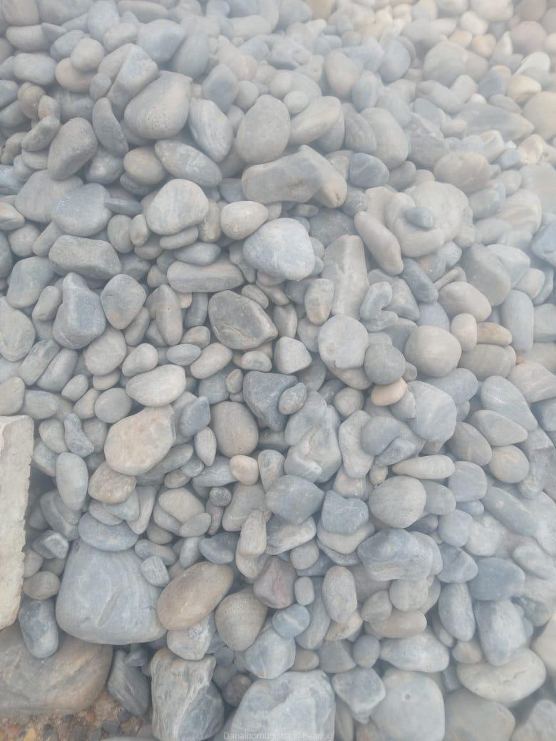 Coral Stones