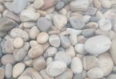 Coral Stones