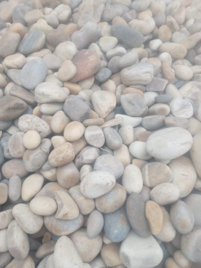 Coral Stones