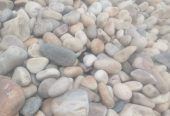 Coral Stones