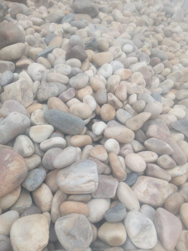 Coral Stones