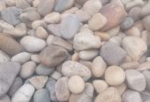 Coral Stones