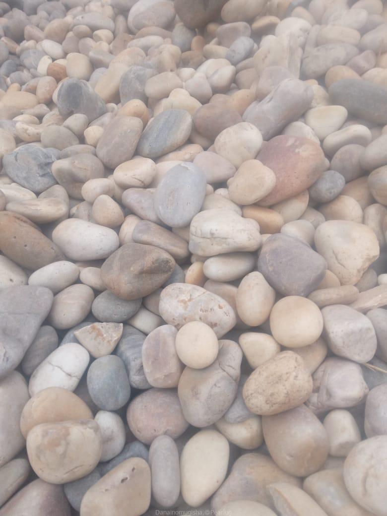 Coral Stones