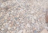 Coral Stones