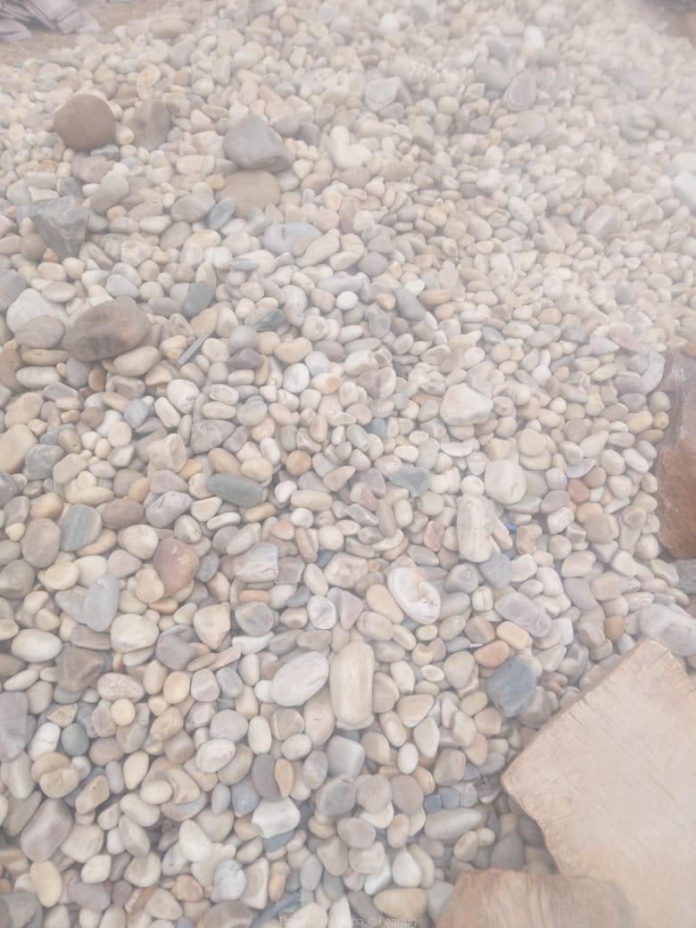 Coral Stones