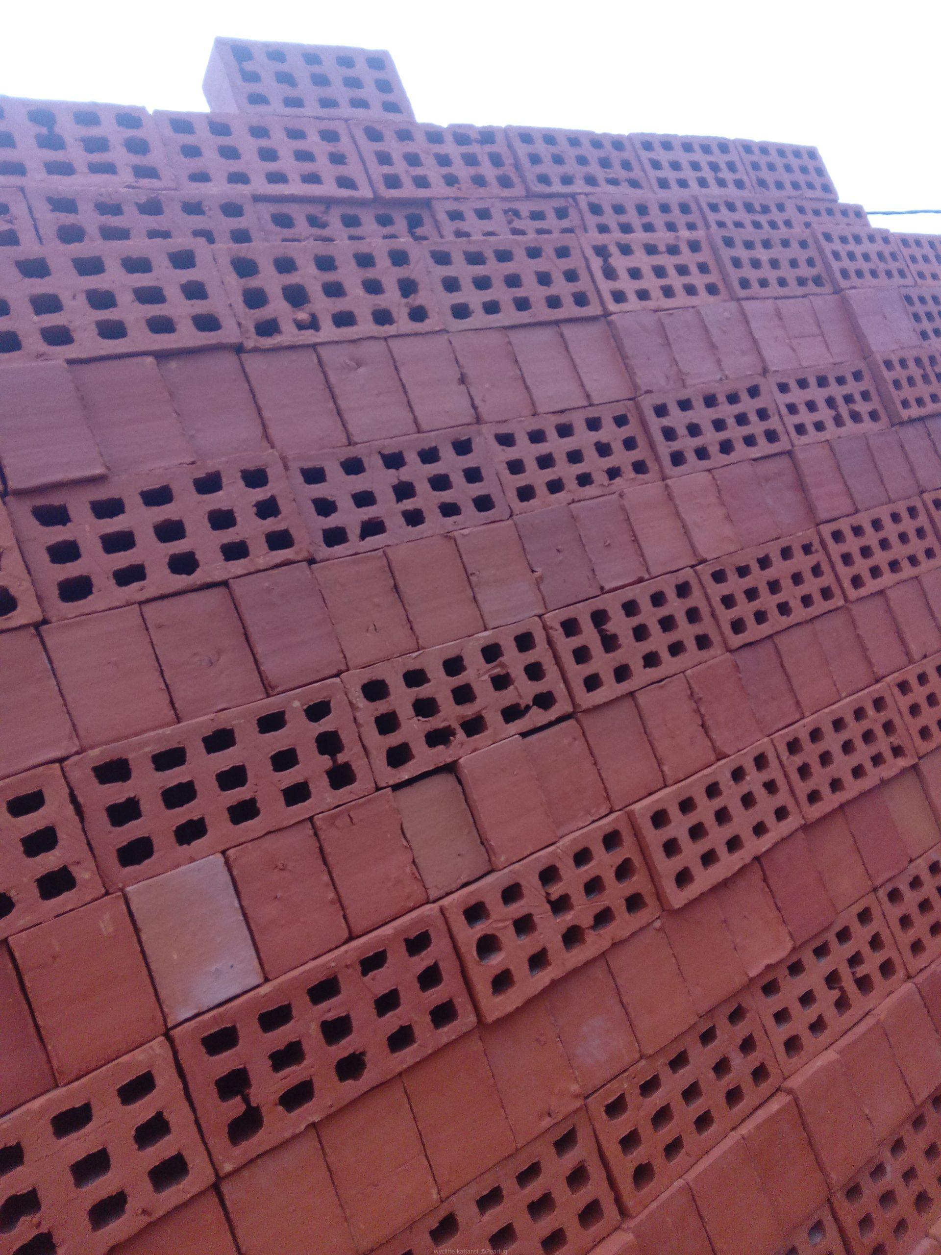 Selected bricks