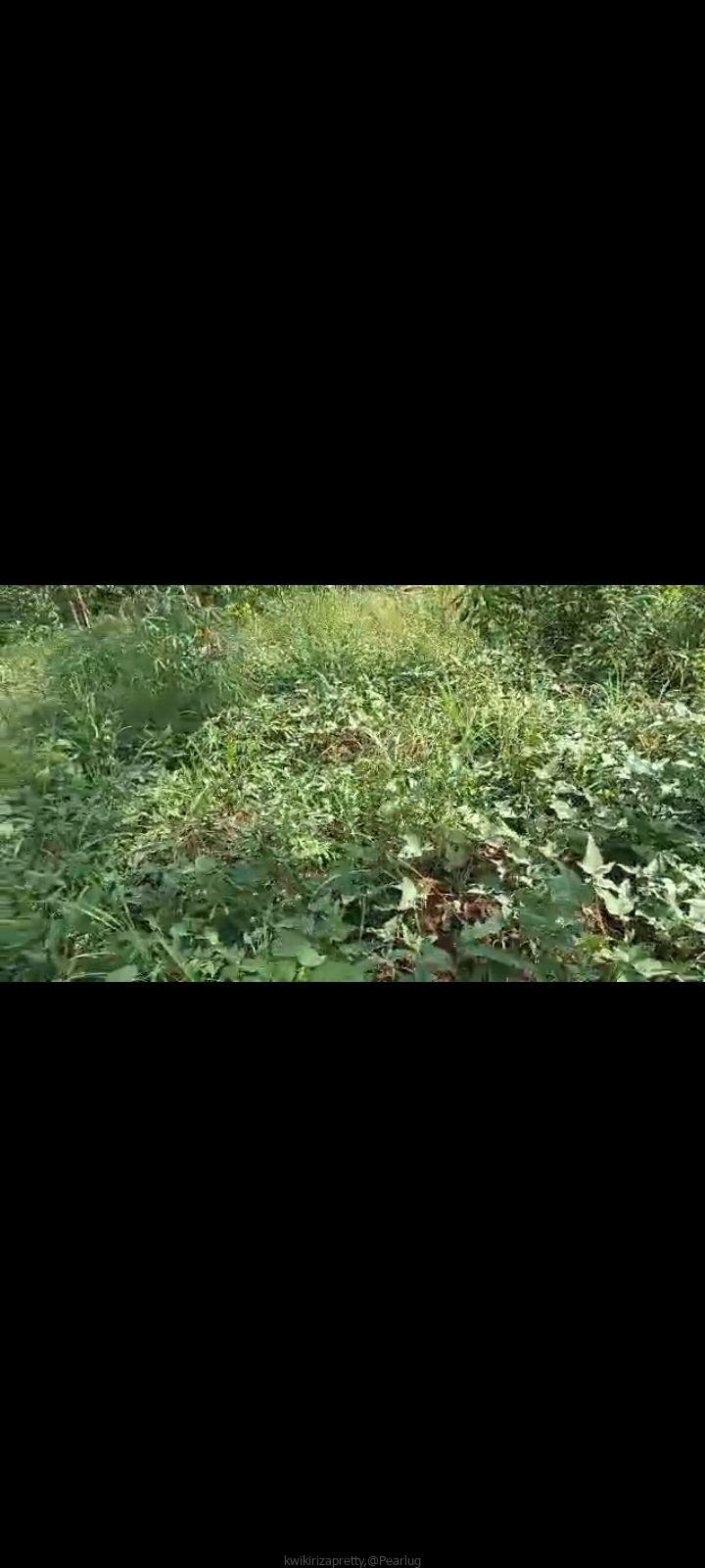 PLOT on sale 15m agreement, 70fts by 100fts. kapeeka zirambwa